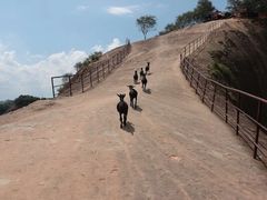 -飞天山旅游区