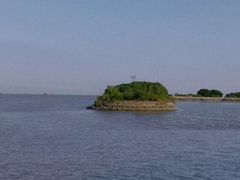 -大湾区中央湿地公园-十九涌