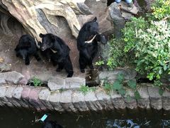 -长鹿旅游休博园