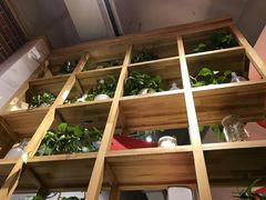 -袁记串串香(川师店)