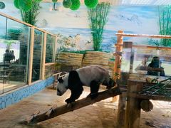 -西霞口神雕山野生动物世界