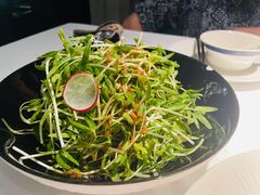 -凤凰湘语(浦东旗舰店)