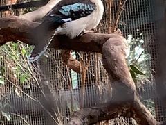 -费瑟代尔野生动物园