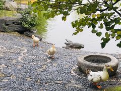 -西安锦江国际酒店