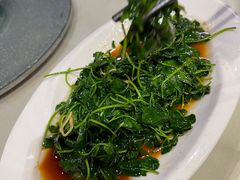-大富贵(旗舰店)