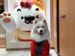 -海底捞火锅(凤凰广场店)