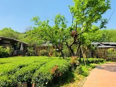 -杭州开元森泊度假乐园