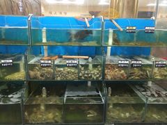 水产区-四海蒸鲜蒸汽海鲜自助(北戴河店)