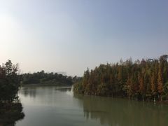 -瑶湖郊野森林公园