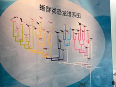 -安徽省地质博物馆