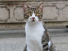-西园寺