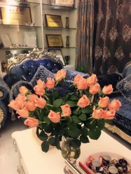 -悦芳庭美肤美体品牌集合店