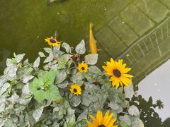 -漫笙舍Manse·咖啡·民宿