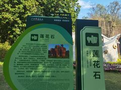 -广州莲花山旅游区