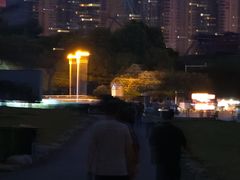 -合肥滨湖国家森林公园