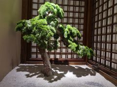 -中国茶叶博物馆(双峰馆区)