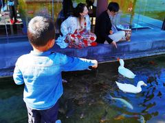 -大理洱源西湖景区