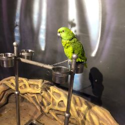 -酷嗒动物文化乐园(cutezoo西溪乐天城店)