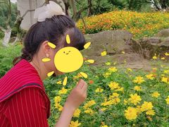 -秀丽东方