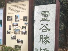 -灵谷景区