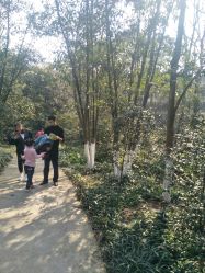 -P.STYLE派斯造型