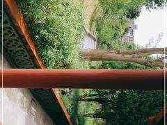 -广州神农草堂中医药博物馆