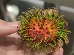 -初色海鲜自助(万丰路店)