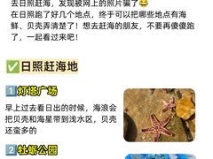 -日照灯塔风景区