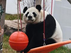 -无锡动物园·太湖欢乐园