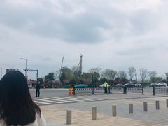-荷兰花海