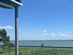 -七的湖·晚芳亭·阳澄湖农家菜·大闸蟹(莲花岛店)