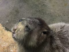 -南昌融创海世界
