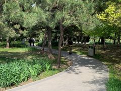-玲珑塔公园