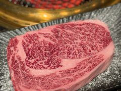 -老乾杯(深圳湾万象城店)