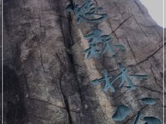 -昆山城市生态森林公园