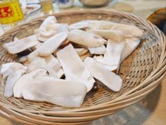-一煲鸽