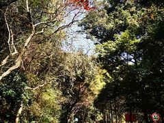 -广州市白云山风景名胜区