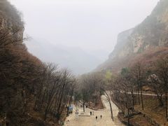 -藏山旅游风景区