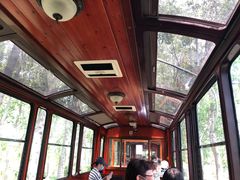 -合肥滨湖国家森林公园