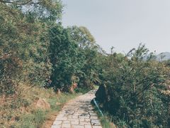 -南丫岛