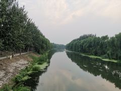 -东郊湿地公园
