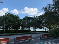 -ommo cafe(半岛城邦店)