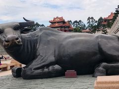 -广东圆玄道观