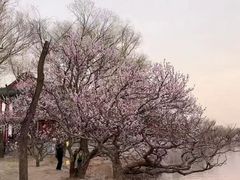 -颐和园