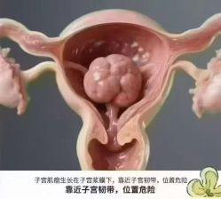 -素妍国际皮肤管理中心