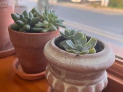 -AHAVA·Fang Baking Studio