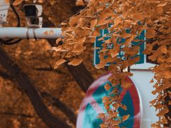 -八大关景区