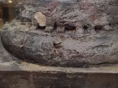 -南越王博物院(王宫展区)