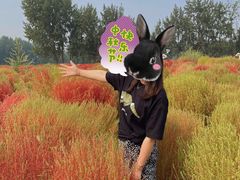 -汉长安城未央宫国家考古遗址公园