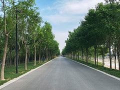 -郑州植物园